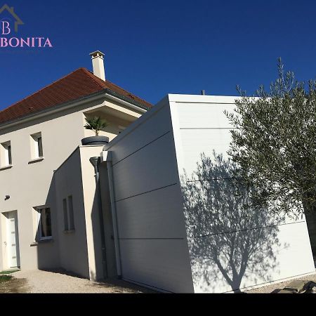 Chez Bonita Ξενοδοχείο Chouzy-sur-Cisse Εξωτερικό φωτογραφία