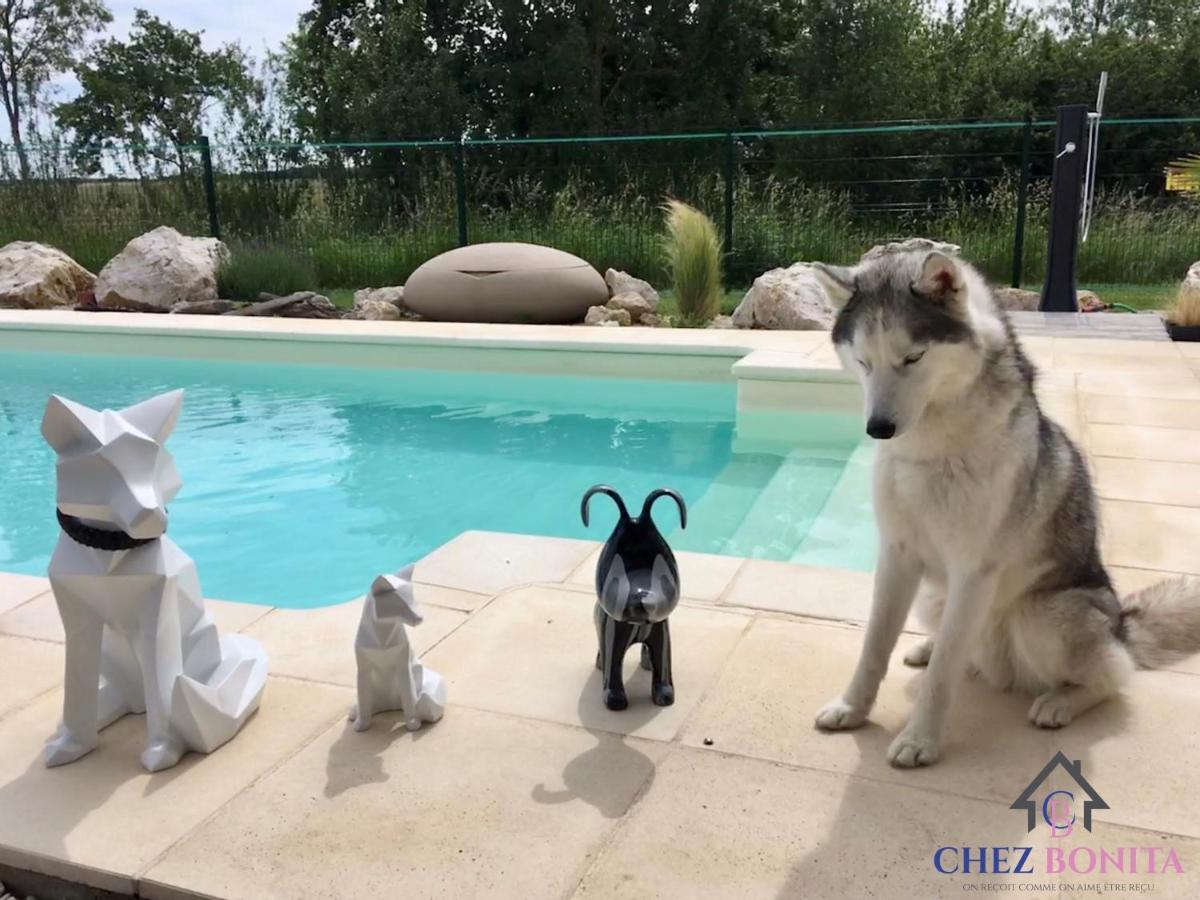 Chez Bonita Ξενοδοχείο Chouzy-sur-Cisse Εξωτερικό φωτογραφία