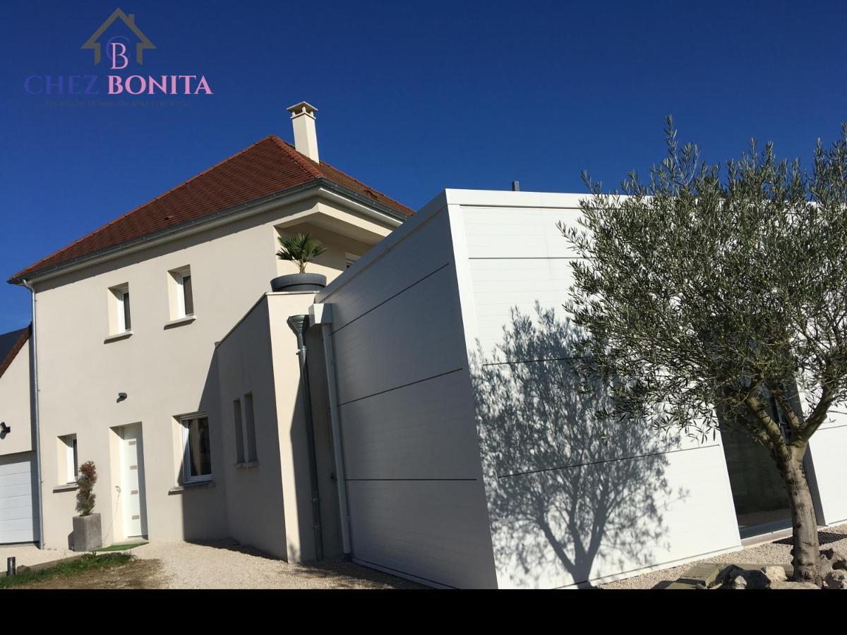 Chez Bonita Ξενοδοχείο Chouzy-sur-Cisse Εξωτερικό φωτογραφία